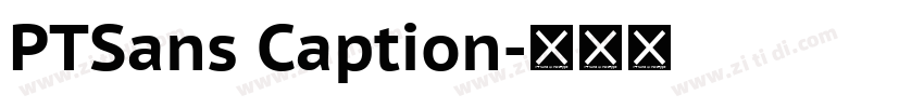 PTSans Caption字体转换